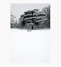 WInter 2 Photographic Print