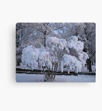 Feb. 19 2012 Snowstorm 79 Canvas Print