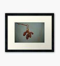 m9 Framed Print