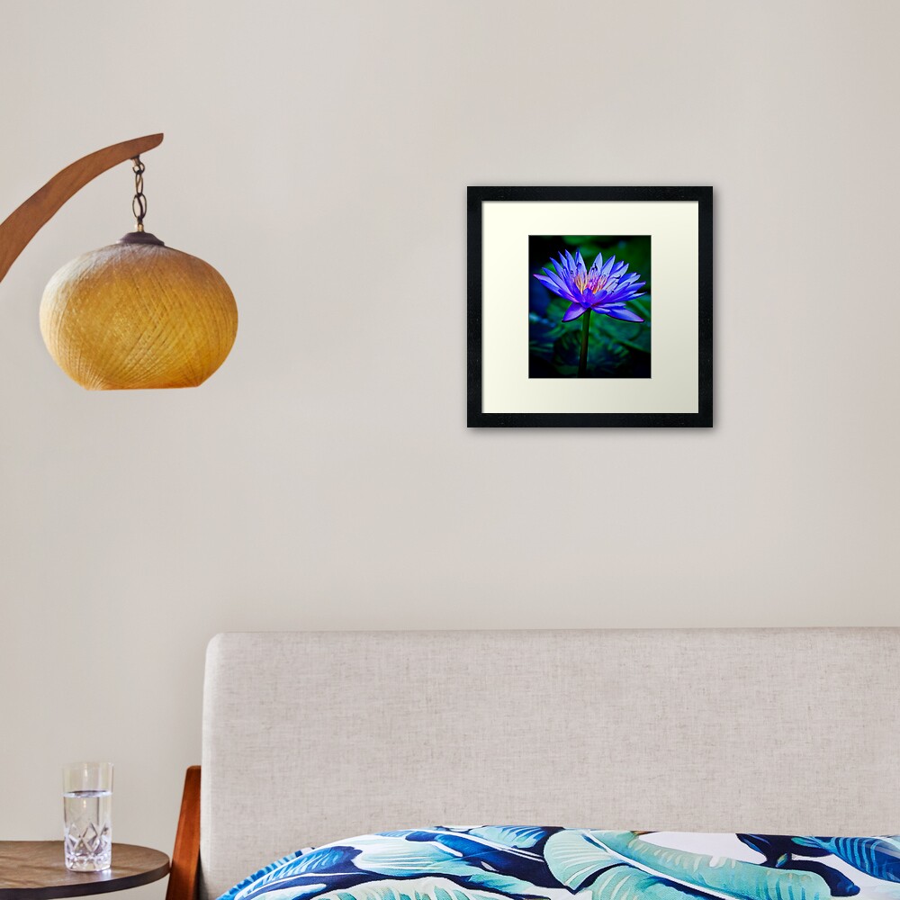 Blue Lotus Framed Art Print