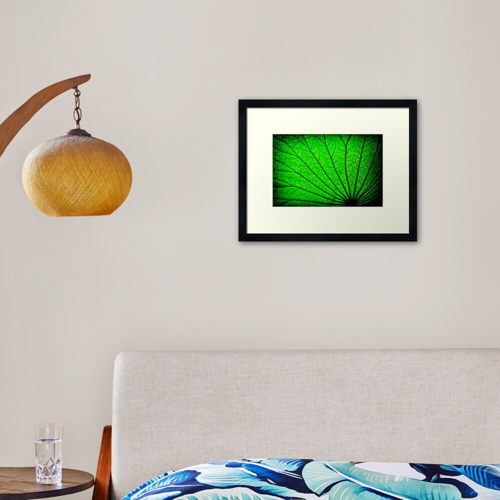 Lotus Leaf Framed Art Print