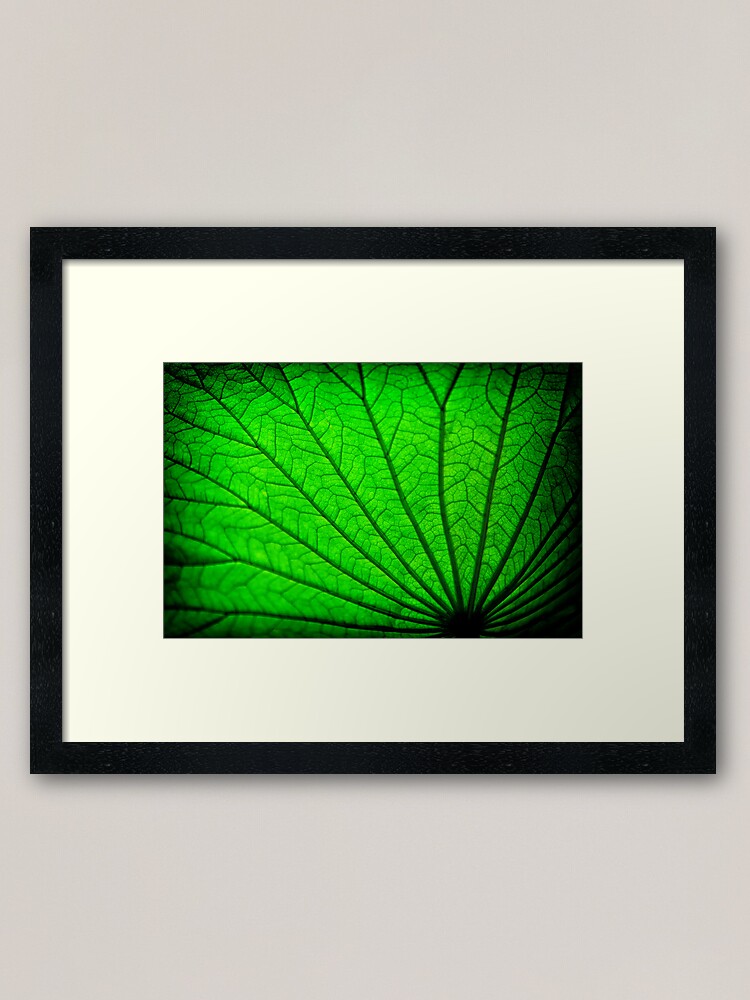 Alternate view of Lotus Leaf Framed Art Print