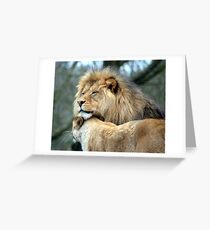 Cuddling Lions Greeting Card
