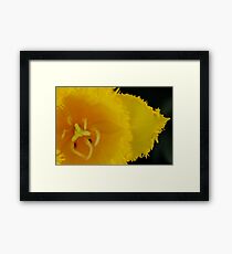 California Framed Print