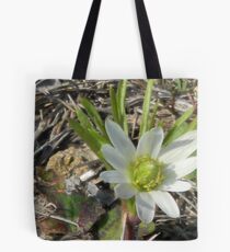 Windflower, Wood Anemone, Thimbleweed Tote Bag