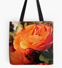 In the Autumn light ^ Tote Bag