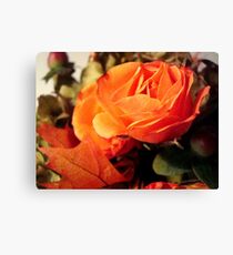 In the Autumn light ^ Canvas Print
