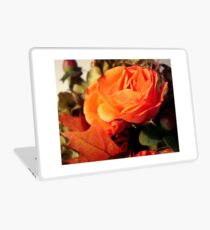 In the Autumn light ^ Laptop Skin
