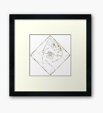 Tumbling Framed Print
