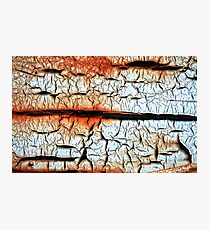 Wrinkles Photographic Print