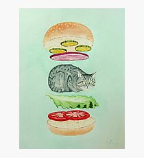 Catsup - Cat Burger Delight! Photographic Print