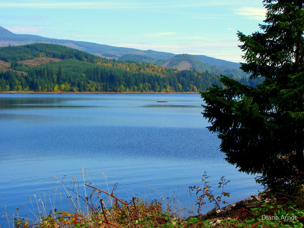 "Detroit Lake...Detroit, Oregon" by Diane Arndt Redbubble
