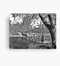 Beauty At The Lake Canvas Print