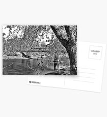Beauty At The Lake Postcards