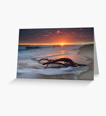 Papamoa Deadwood Drift Greeting Card
