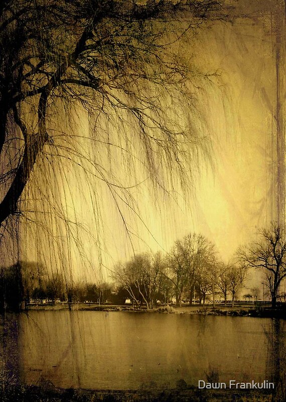 "Weeping Willow ©" by Dawn Becker | Redbubble