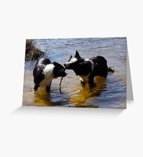 IT'S MY STICK Greeting Card