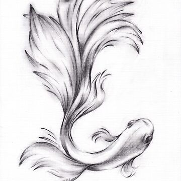 Original Pen & Ink fish drawing sketch of a goldfish on ivory