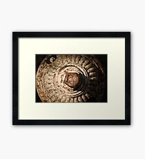 helmet Framed Print