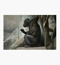 First Time Mom Photographic Print