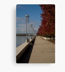 Path by Lake Burley Griffin Canberra Canvas Print
