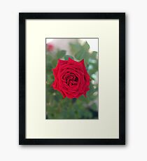 Red Heart Framed Print