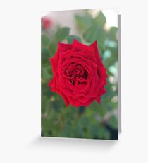 Red Heart Greeting Card