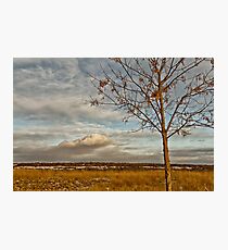 Saskatchewan Landscape Photographic Print