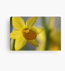 Spring Canvas Print