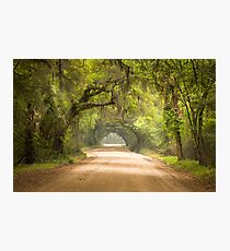 Charleston SC Edisto Island Dirt Road - The Deep South Photographic Print