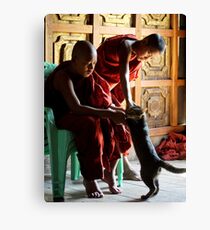 Playing Canvas Print