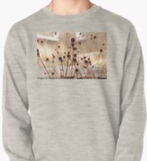 fragile Pullover