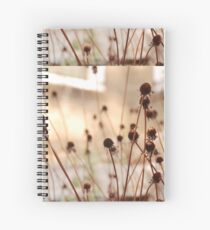 fragile Spiral Notebook