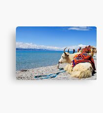 Rest Canvas Print