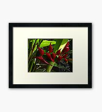 Tropics - Tropical Framed Print