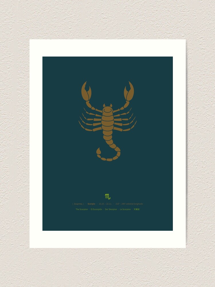 Alternate view of Scorpio Zodiac / Scorpion Star Sign Poster Art Print