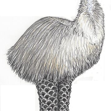 Artwork thumbnail, Emu in Kiss boots by JimsBirds