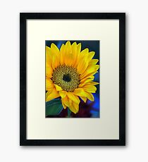 Grabber yellow Framed Print