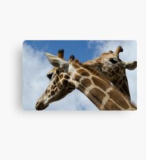 Affection Canvas Print