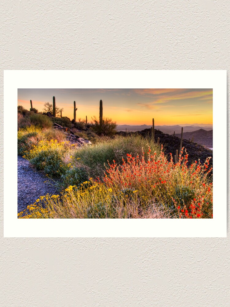Alternate view of Desert Glow Art Print