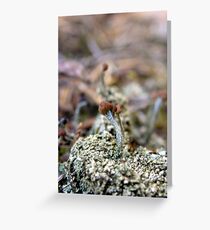 Fellowship Of the Small World Greeting Card