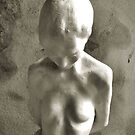 Woman of Stone by Amy E. McCormick