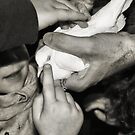 Magician's Dove by Amy E. McCormick