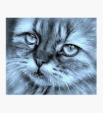 Pout Photographic Print