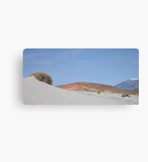 Sage Brush Canvas Print
