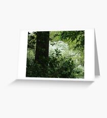 White Greeting Card
