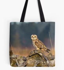 Short-eared Owl in Evening Light Tote Bag