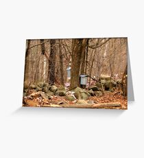Sugaring Season Greeting Card