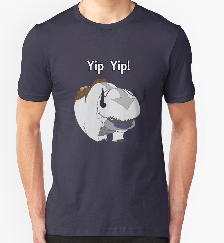 avatar shirt appa