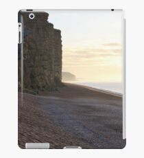 west bay iPad Case/Skin